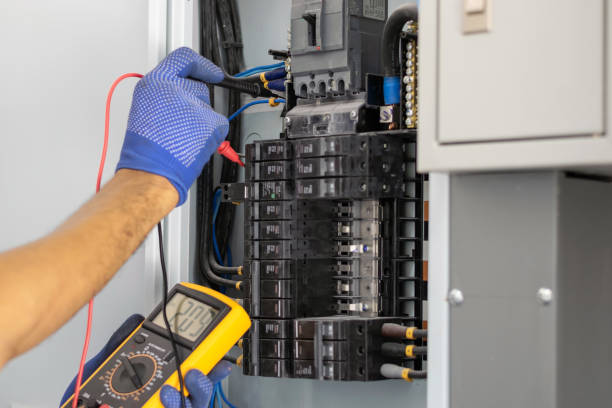 Best Electrical Panel Upgrades  in Pioche, NV